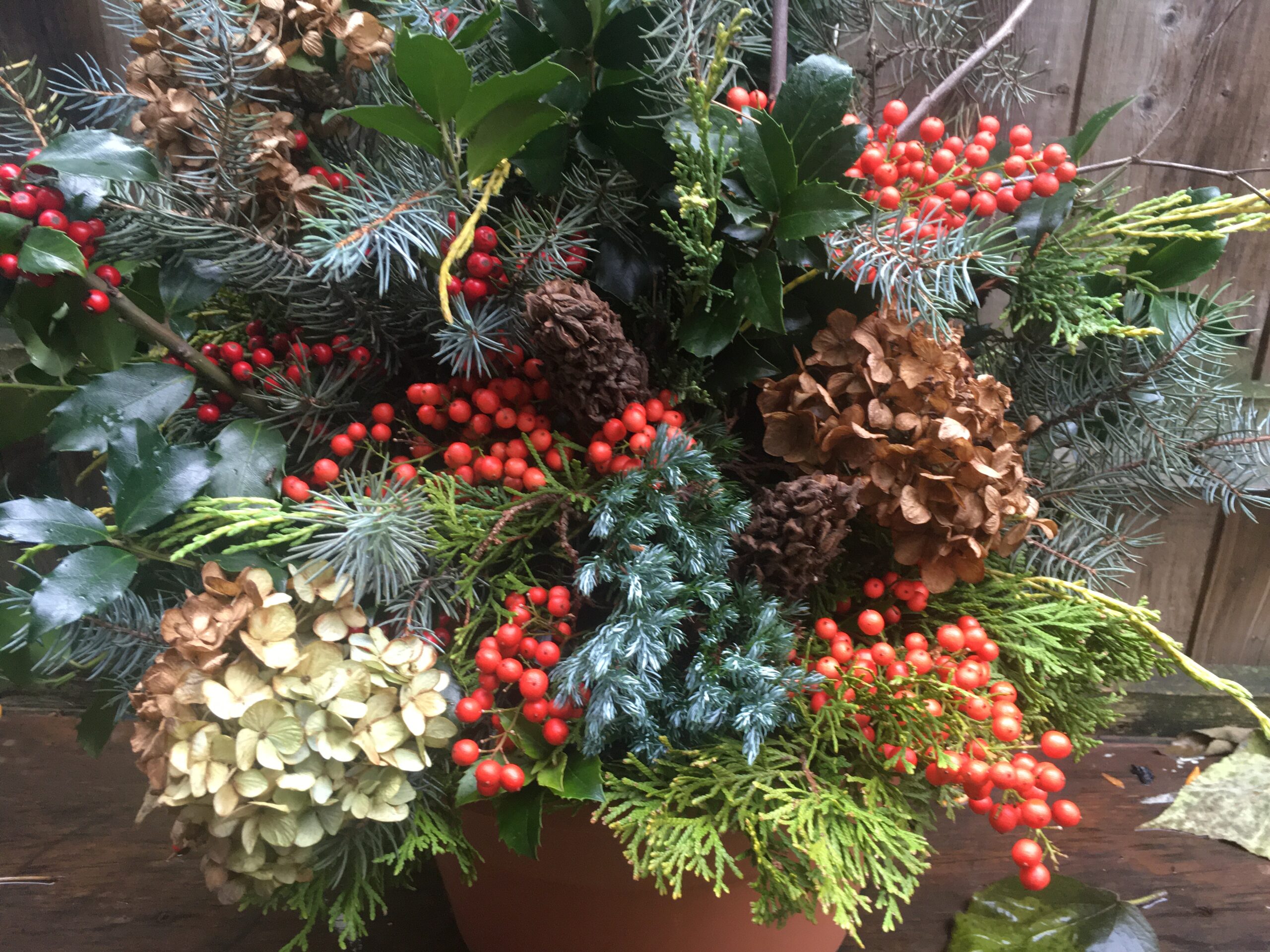 Featured image for “How to Create Beautiful Fall and Winter Arrangements”