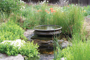 simple water feature