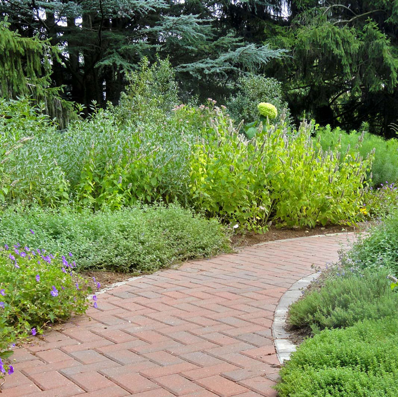 Landscape Image of Greenweaver's design work with native grases, flowers, while creating a walking path with pavers.