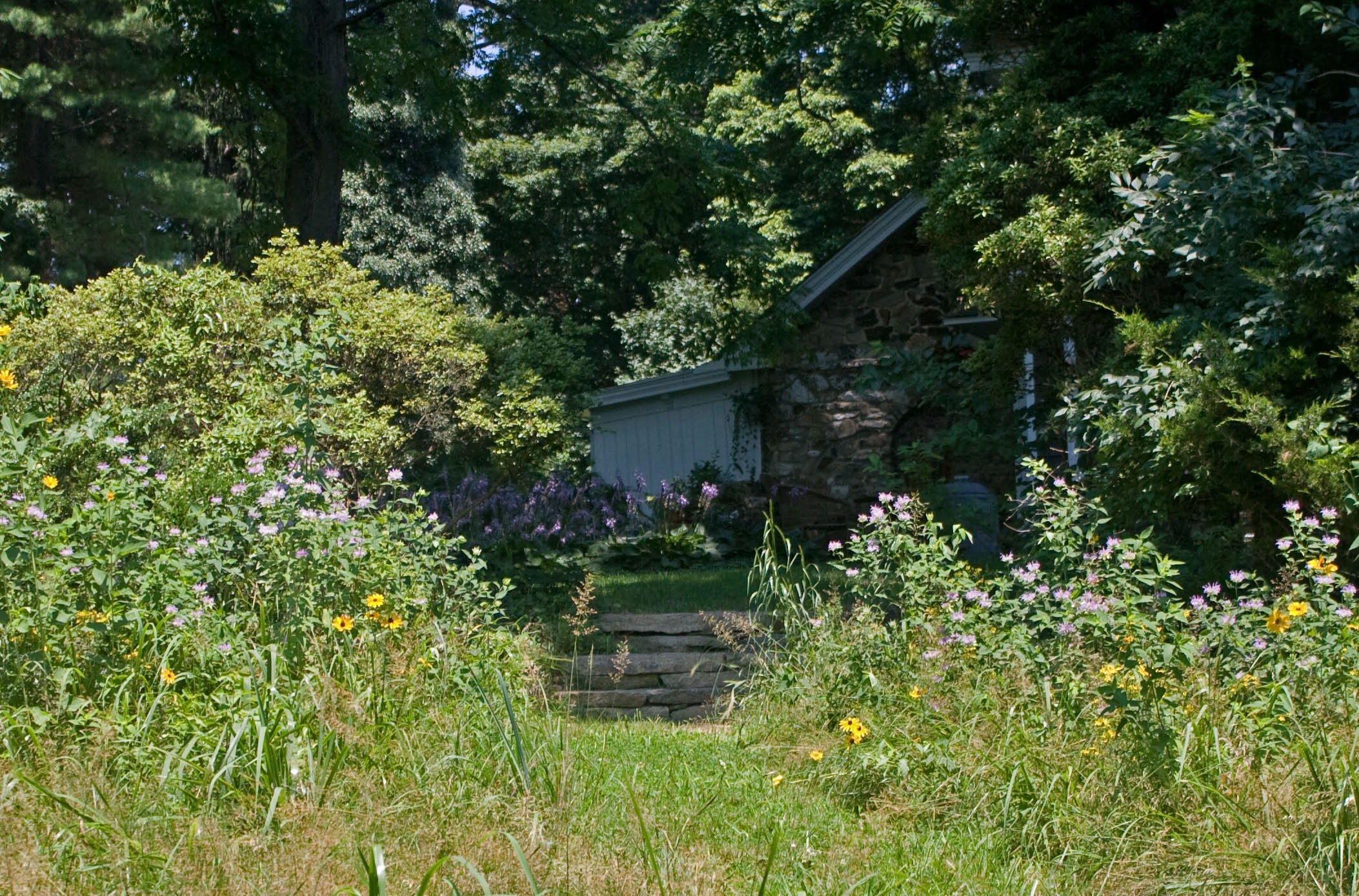Farmhouse with meadow steps