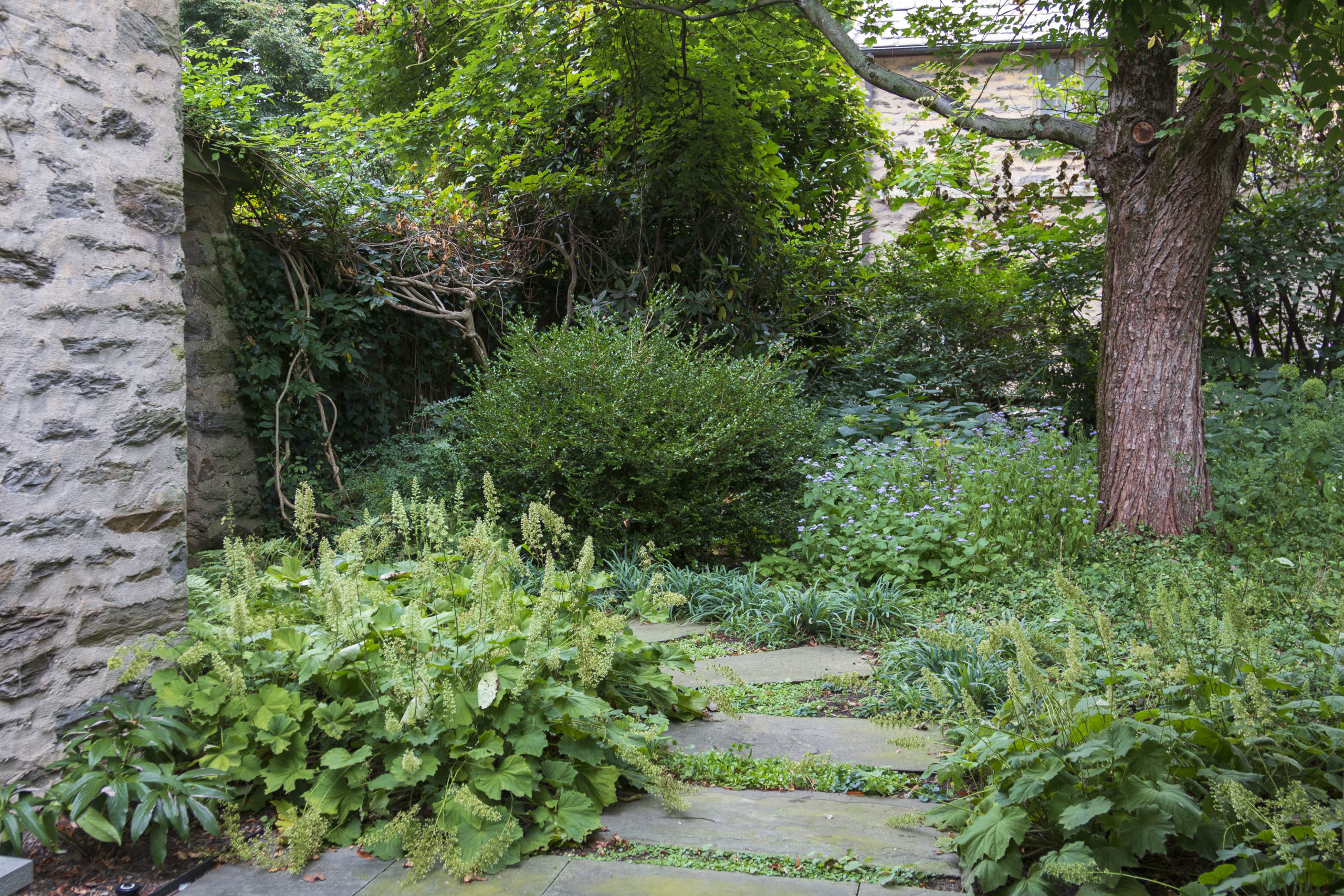 A stepstone path leads past lush woodland plantings over coral bells, ageratum, and native sedges.