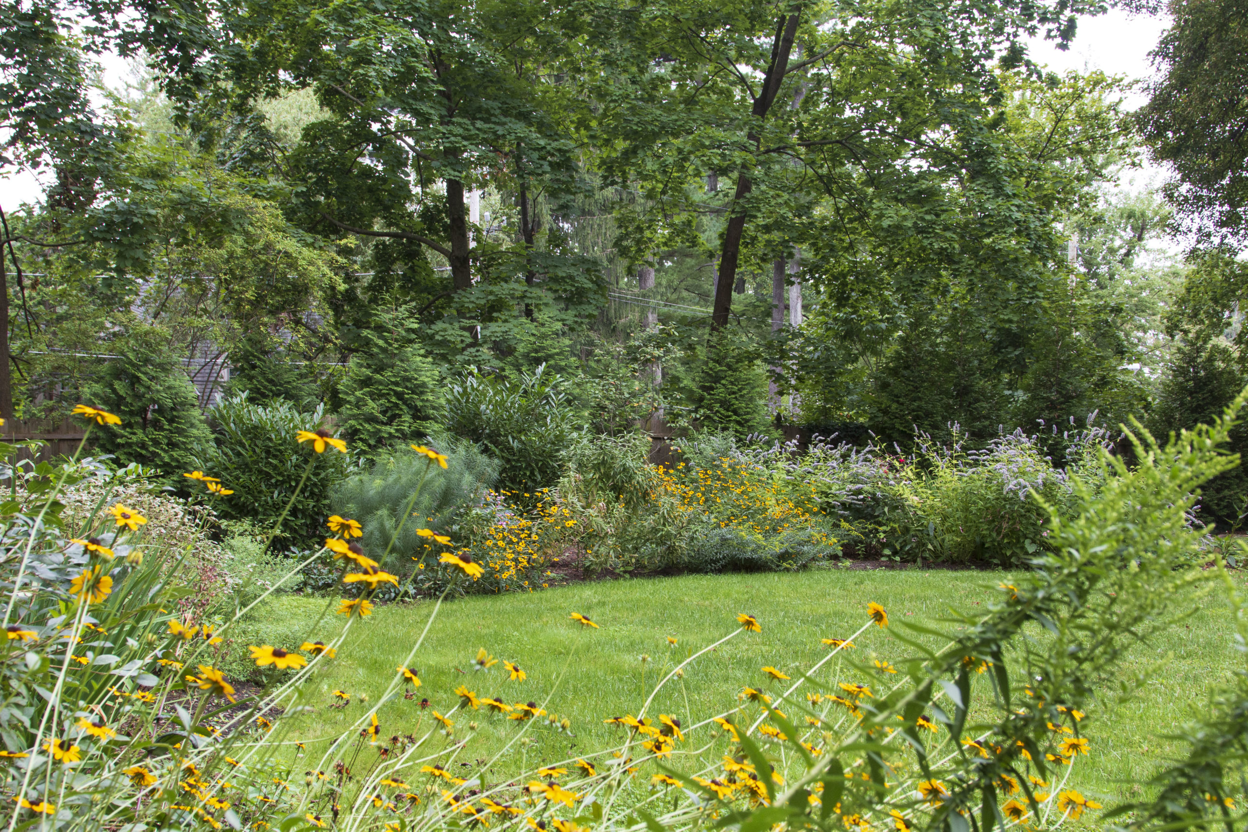 Colorful perennial beds encircle a formal lawn. Stately evergreens screen the street behind.