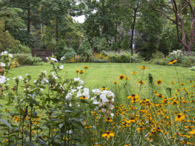 A view across a large, formal lawn that is bordered by colorful native perennial beds.
