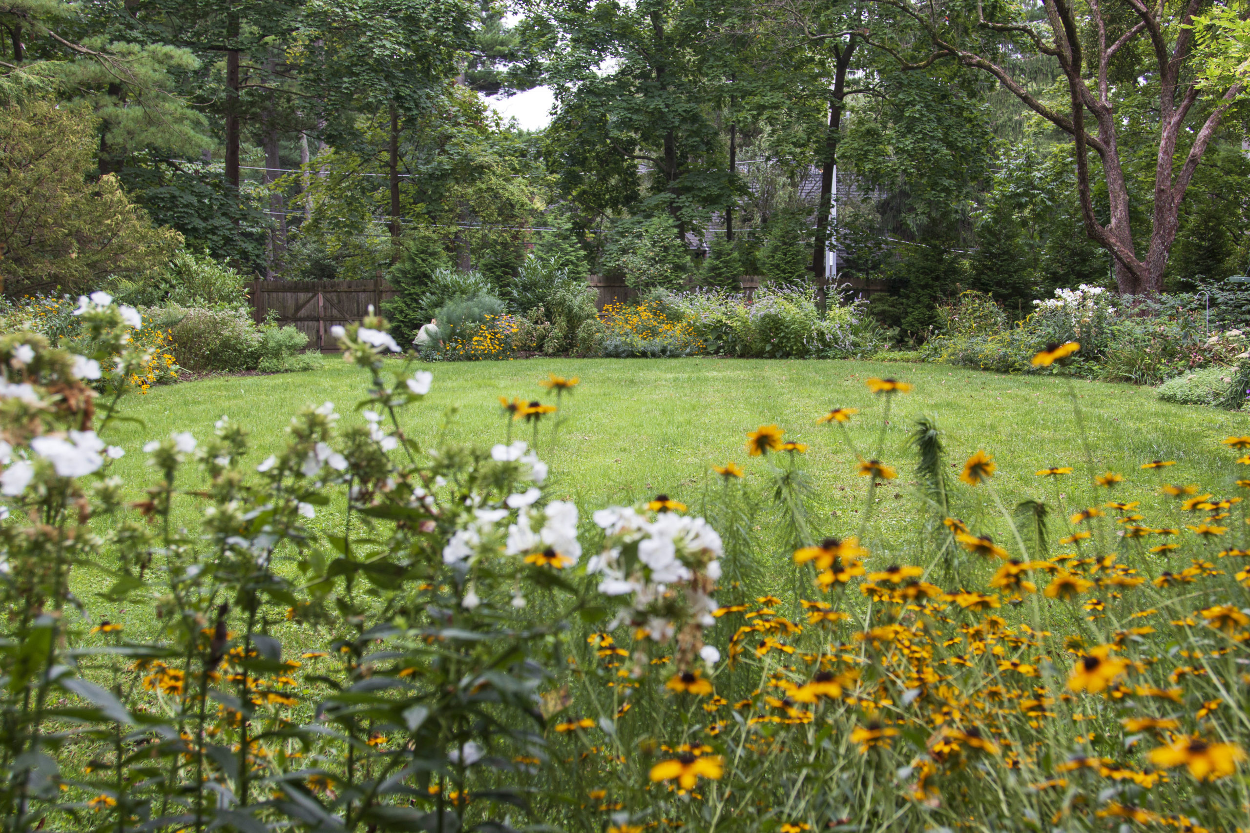 A view across a large, formal lawn that is bordered by colorful native perennial beds.