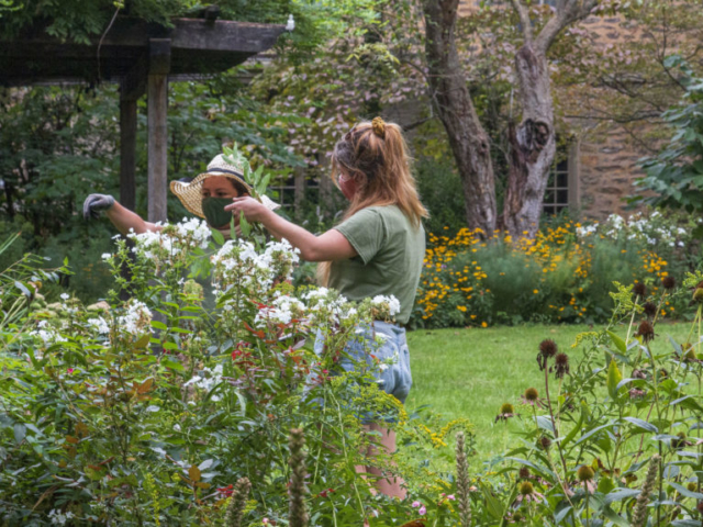 Two gardeners discuss perennial care in front of a mixed bed of phlox and other native plants.