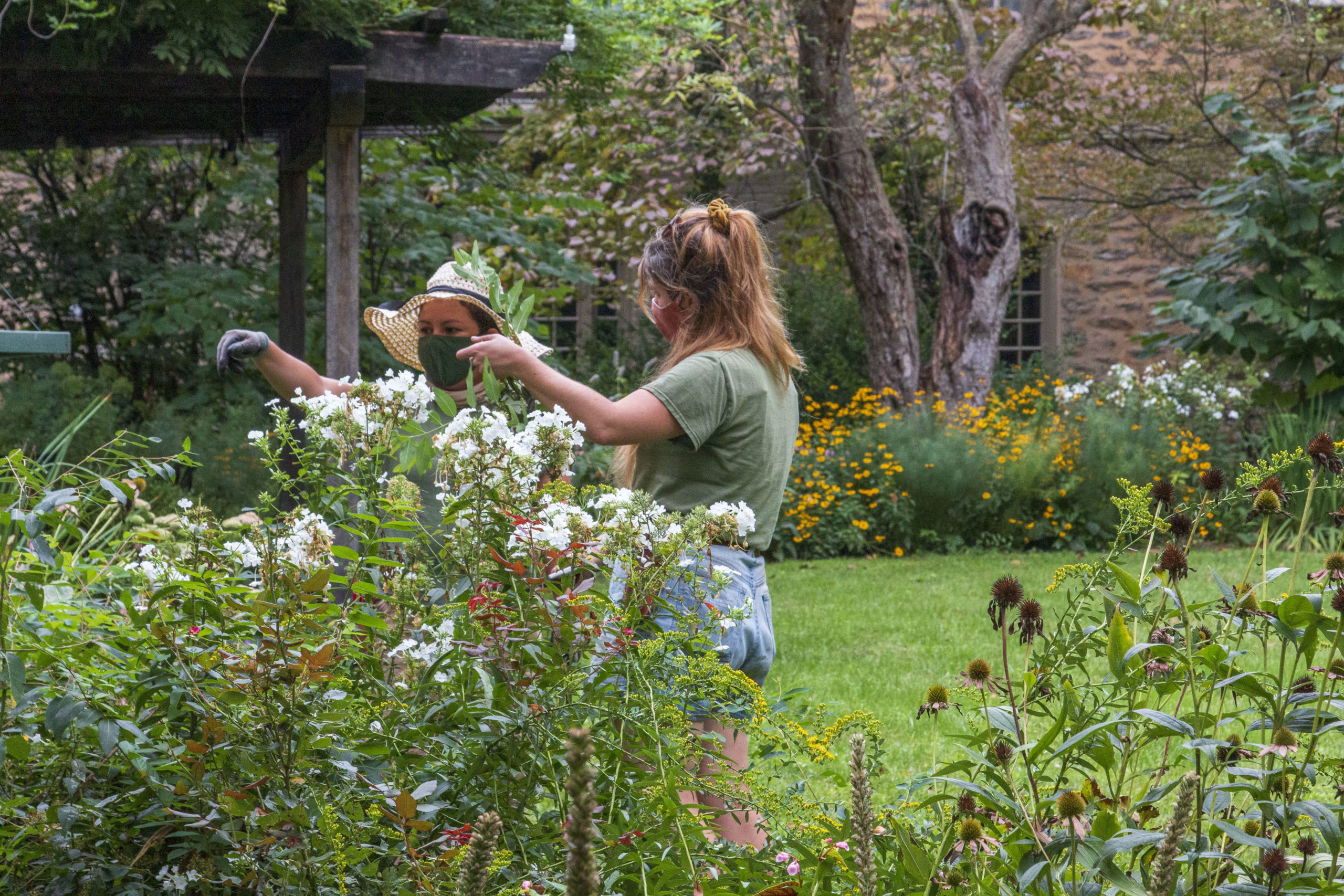 Two gardeners discuss perennial care in front of a mixed bed of phlox and other native plants.