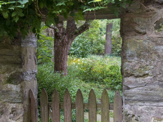 A gated opening in a thick stone wall reveals a view of the peaceful, colorful perennial garden beyond.