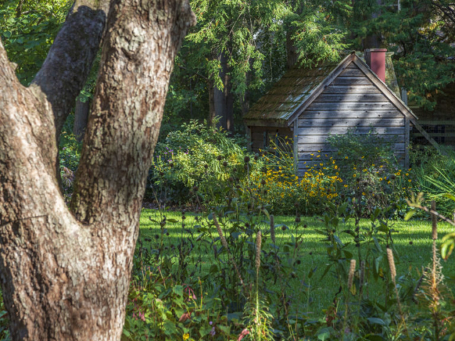 A mossy wooden playhouse is nestled between stands of blooming perennials under a canopy of conifers.