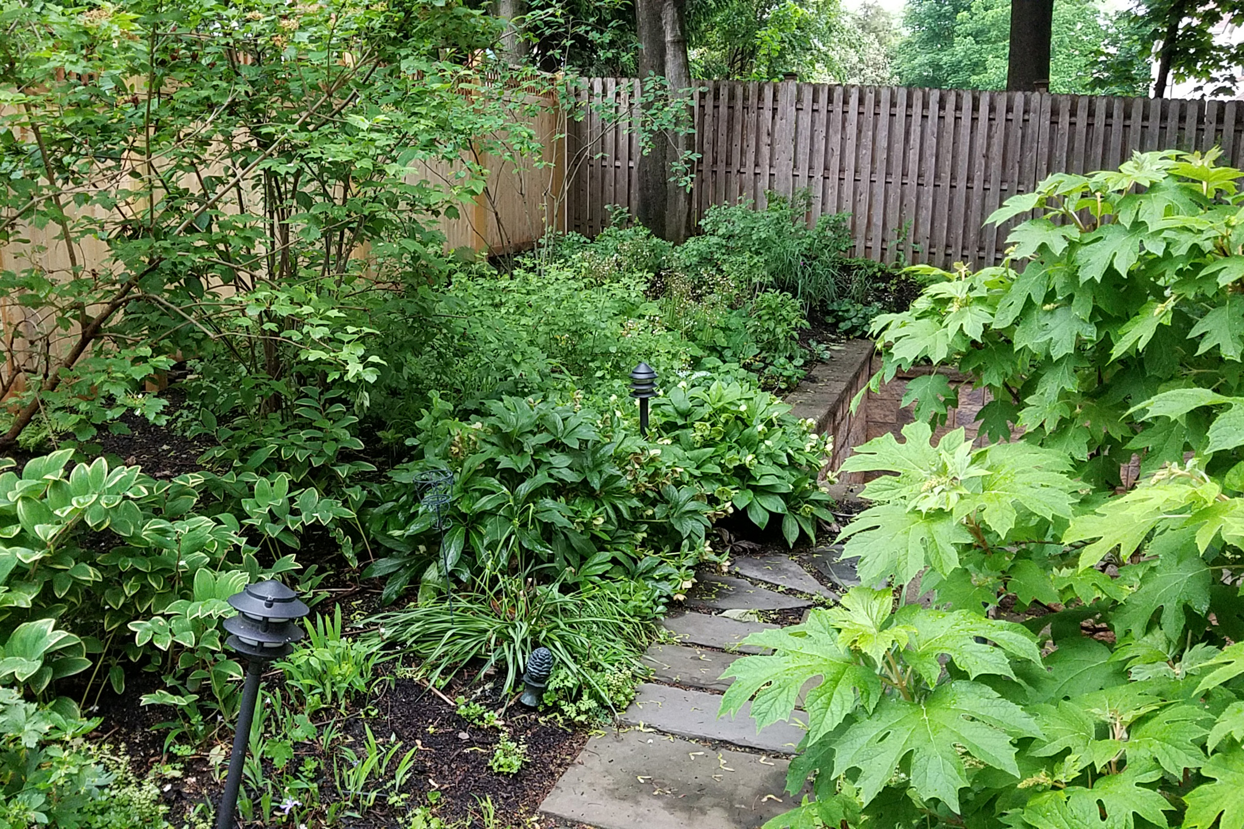 Side Yard in Summer with lush green plants and wooden fence around the exterior.