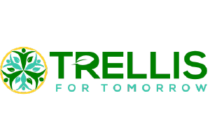 partner logo for Tresllis for tomorrow
