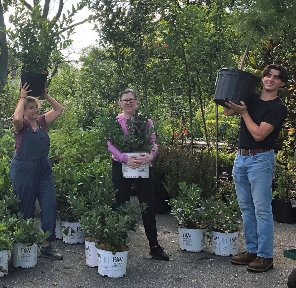 Staff at Redbud Native Plant nursery show a healthy selection of plants in stock.