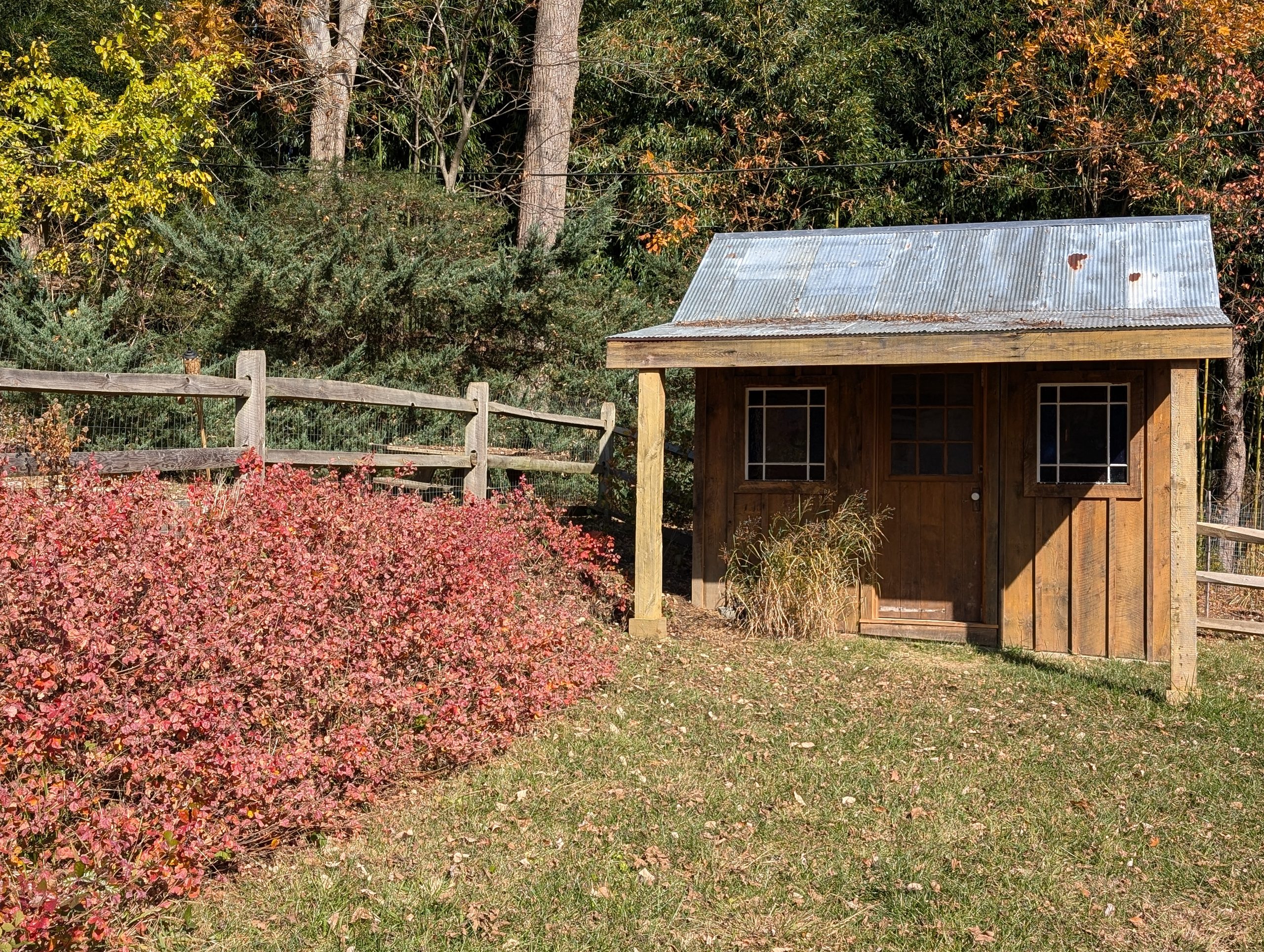A difficult to mow hillside below a fence is planted with low shrubs resulting in an attractive, low-maintenance solution.