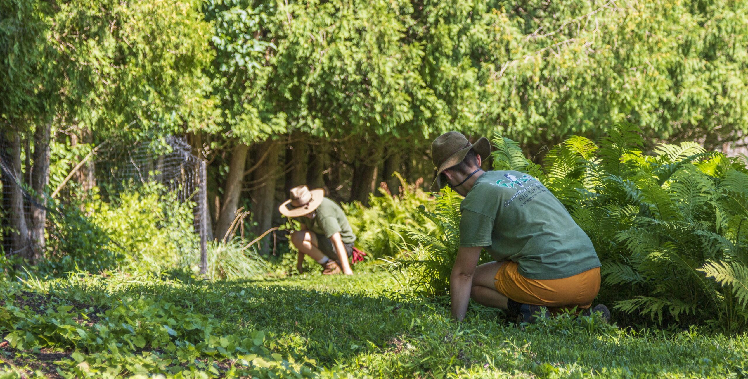 Professional gardeners use tricks of the trade to manage properties efficiently. Photo by Nick Yates.